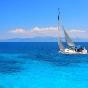 Boat Trips