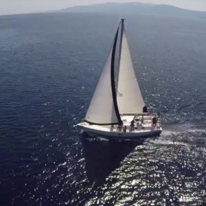 Boat Trips