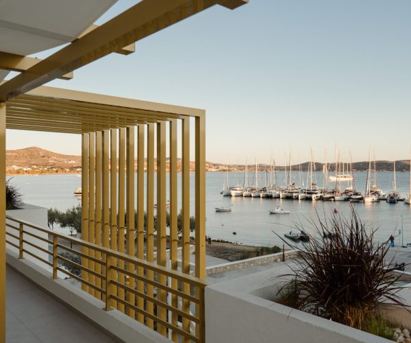 Portiani_Dreamodd-17