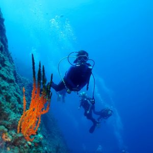 Scuba Diving​